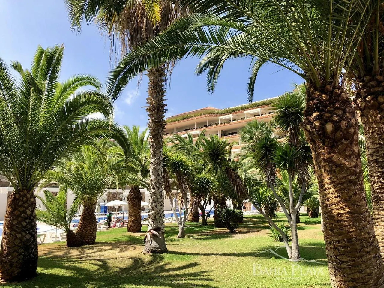 Apartment Apartamentos Bahia Playa Puerto de la Cruz  Spain