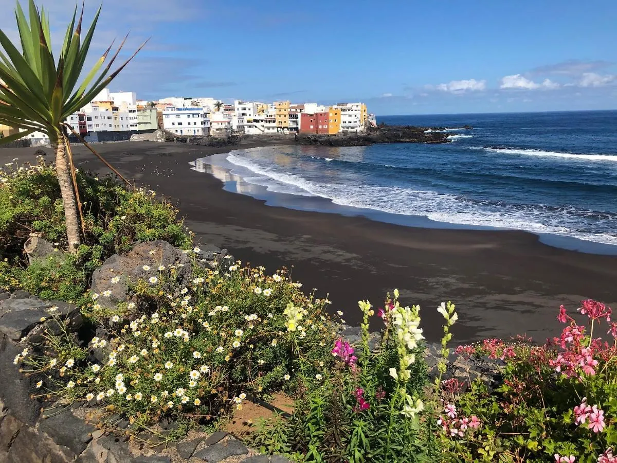 Apartamentos Bahia Playa Puerto de la Cruz  Apartment Puerto de la Cruz (Tenerife)